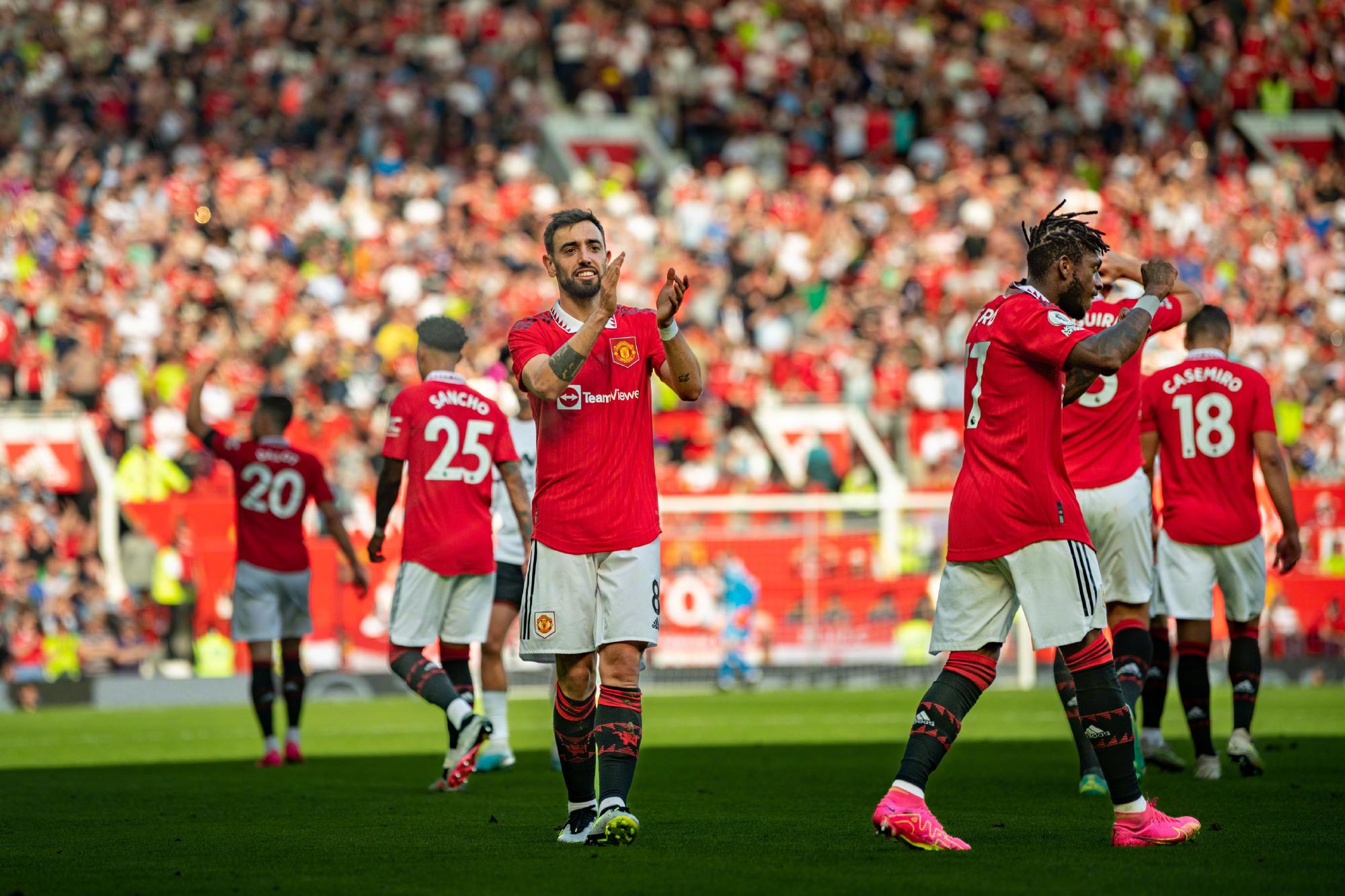 已与许多知 已与许多知