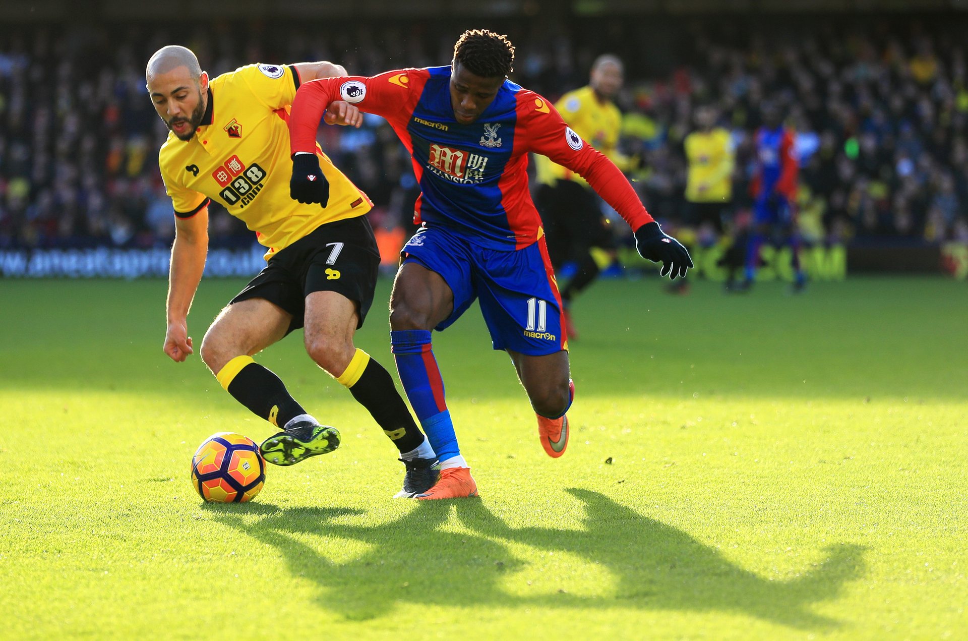 方的广泛关 方的广泛关